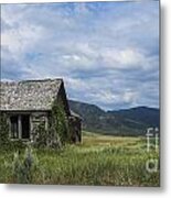 Alone In The World Metal Print