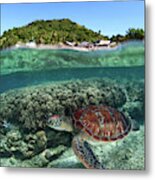 Along Shore Metal Print