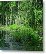 Along The Bank Of A Pristine Cape Cod River Metal Print