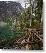 Alpine Lakes Logjam Metal Print