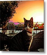 Altered Cats Cyprus Rudolph Metal Print