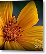 Amarillo Metal Print