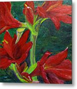 Amaryllis Metal Print