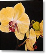 Amber Orchids Metal Print
