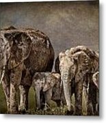 Amboseli Herd Metal Print