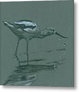 American Avocet Metal Print