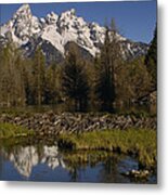 American Beaver Dam And Lodge Grand Metal Print