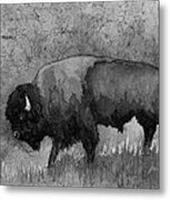 Monochrome American Buffalo 3 Metal Print