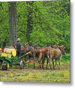 Six Mule Team Metal Print