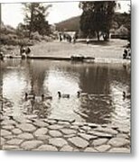 An Afternoon At Botanical Garden Metal Print