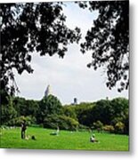 An Ordinary Day In Central Park Metal Print