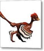 Anchiornis Feathered Dinosaur, Artwork Metal Print
