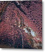Ancient March Abstract Metal Print
