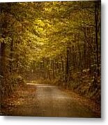 Country Road In Mississippi Metal Print