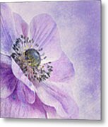 Anemone Metal Print