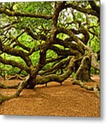 Angel Oak Tree Branches Metal Print