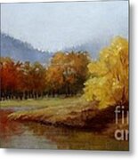 Anns Creek Bed Metal Print