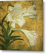Antique Easter Lily Metal Print