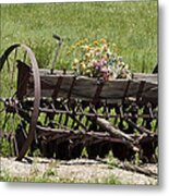 Antique Horse Drawn Seeder Metal Print