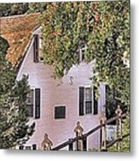 Apple Tree Metal Print