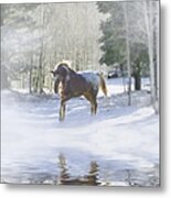 Winter Snow Horse And Reflection Metal Print