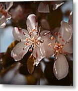 April In Colors Metal Print