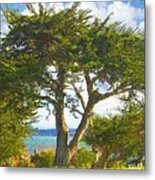 Arbor Bay Metal Print