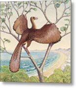 Archaeopteryx Dinosaur Metal Print