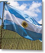Argentina Flag Metal Print