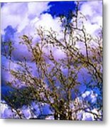 Arizona Mesa Through A Mesquite Tree Metal Print