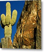 Arizona Sagauro Cactus Metal Print