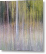 Artistic Birch Trees Metal Print