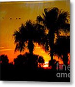 Artistic Florida Sunset Metal Print