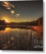 As In A Dream Metal Print