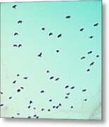 As The Crows Fly Metal Print