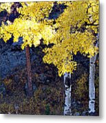 Aspen Bright Metal Print