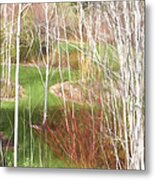 Aspen Grove - Green Grass Metal Print