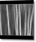 Aspen Splendor Dreaming Triptych In Black And White Metal Print