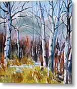 Aspen Thicket Metal Print