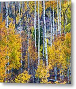 Aspen Tree Magic Cottonwood Pass Metal Print