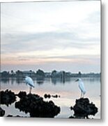 At Dawn Metal Print