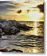 At Peace With The World Metal Print
