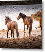At The Watering Hole Metal Print