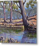 Aussie Billabong Metal Print