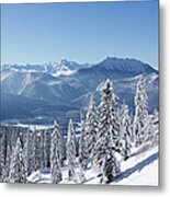 Austria, Styria, View Of Snowy Fir Tree Metal Print