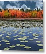 Autumn Across The Pond Metal Print