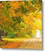 Autumn Cascade Metal Print