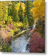 Autumn Color Along Spearfish Creek Metal Print