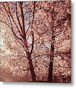 Autumn Colors And Canoe Metal Print