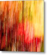 Autumn Colors In Abstract Metal Print
